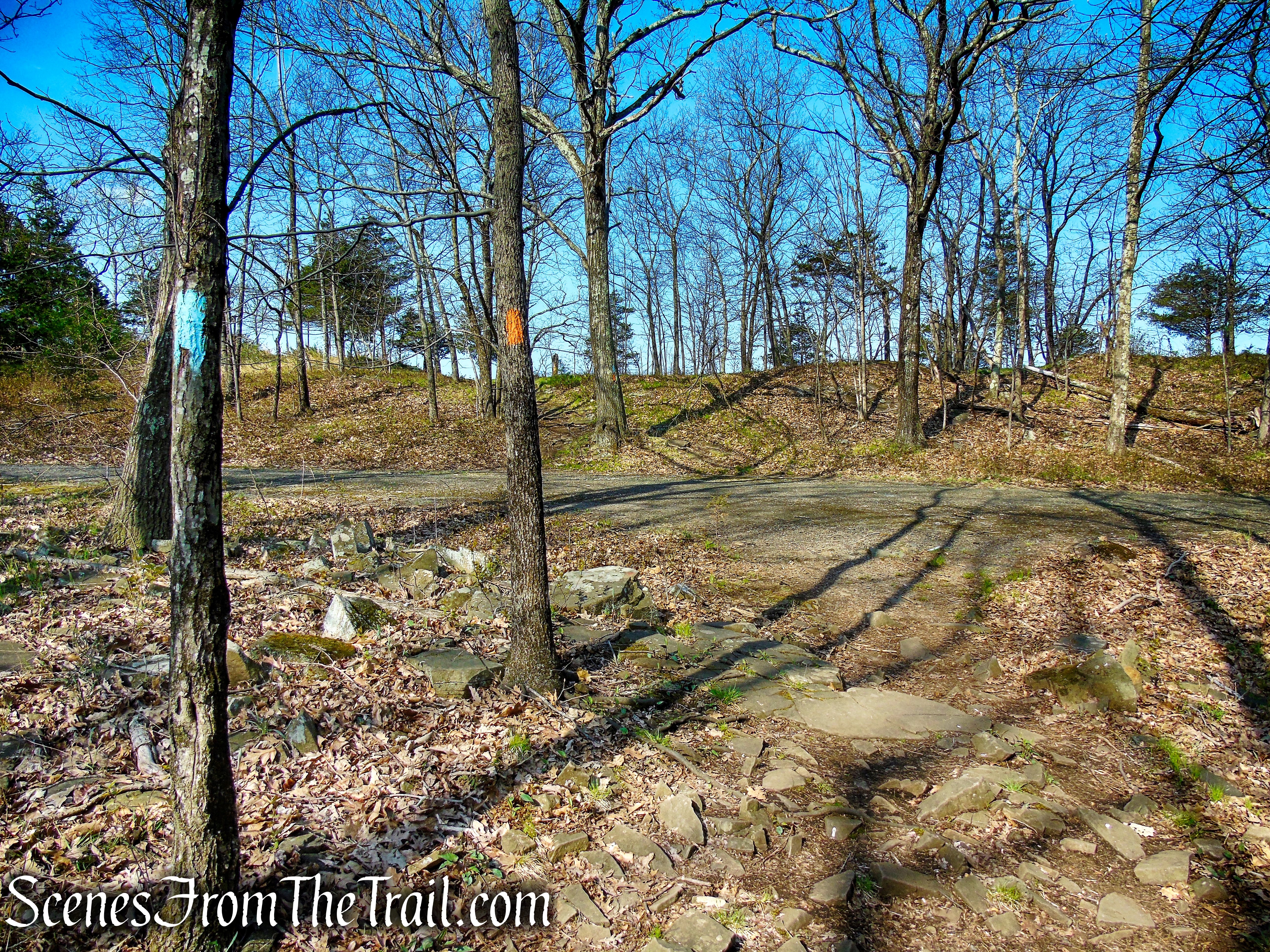 Orange Trail - West Rock Ridge State Park
