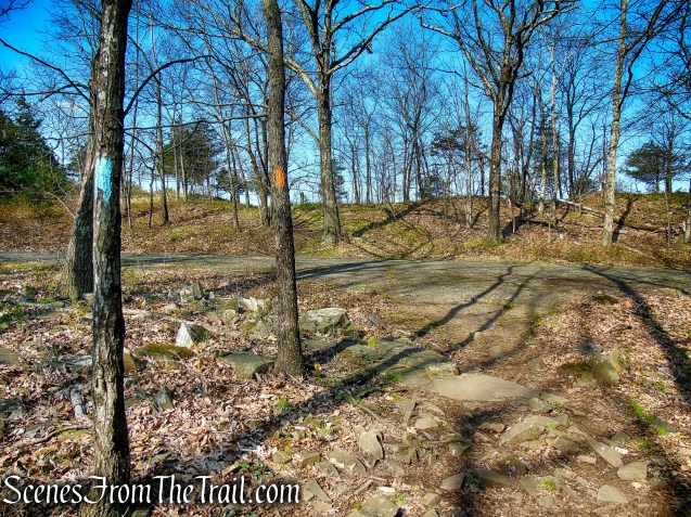 Orange Trail - West Rock Ridge State Park