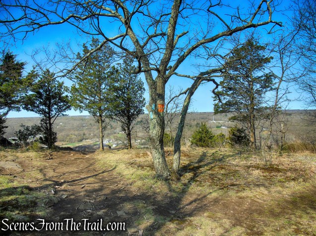 terminus of Orange Trail