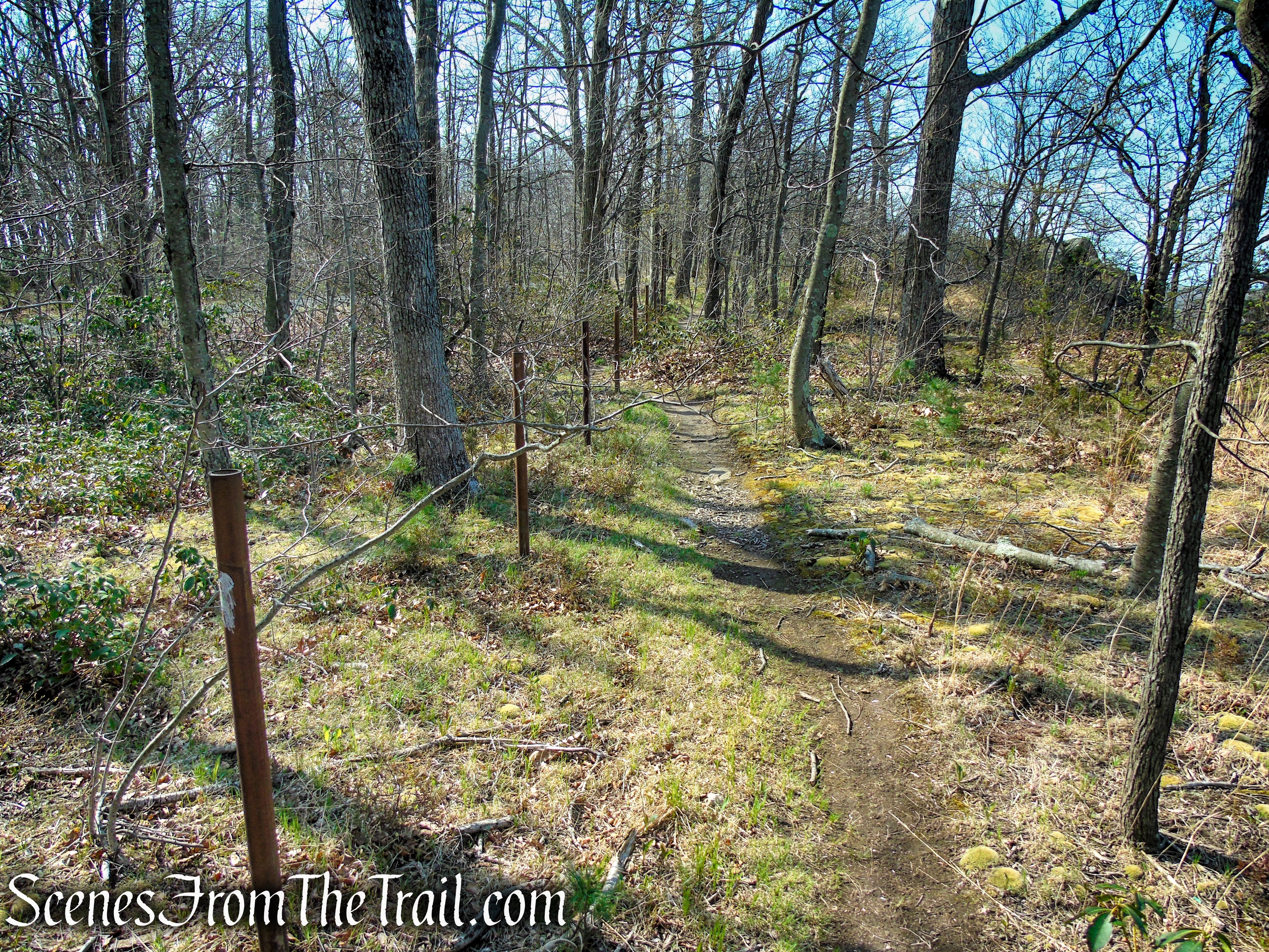 unmarked trail along Baldwin Drive