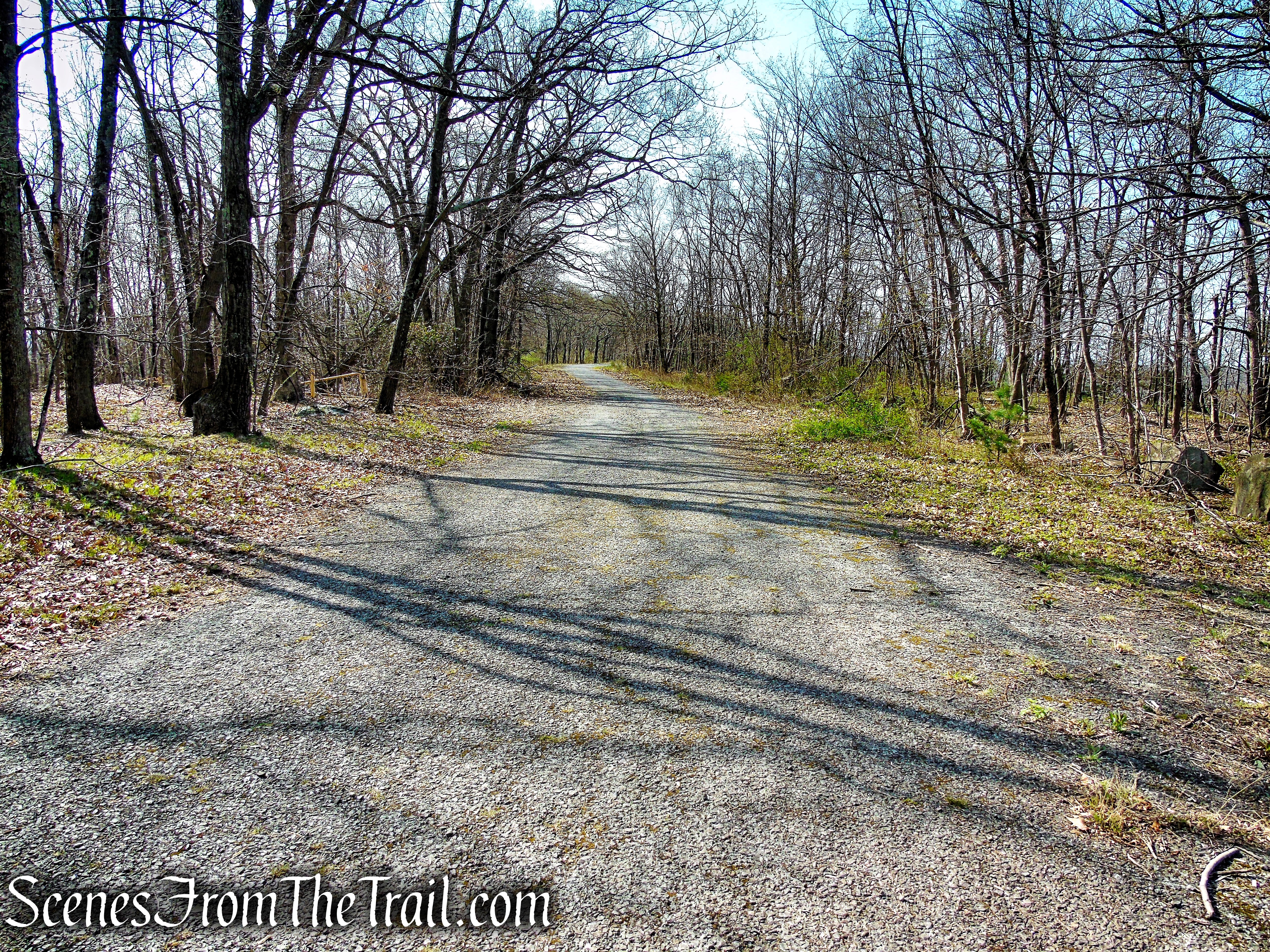 Baldwin Drive - West Rock Ridge State Park