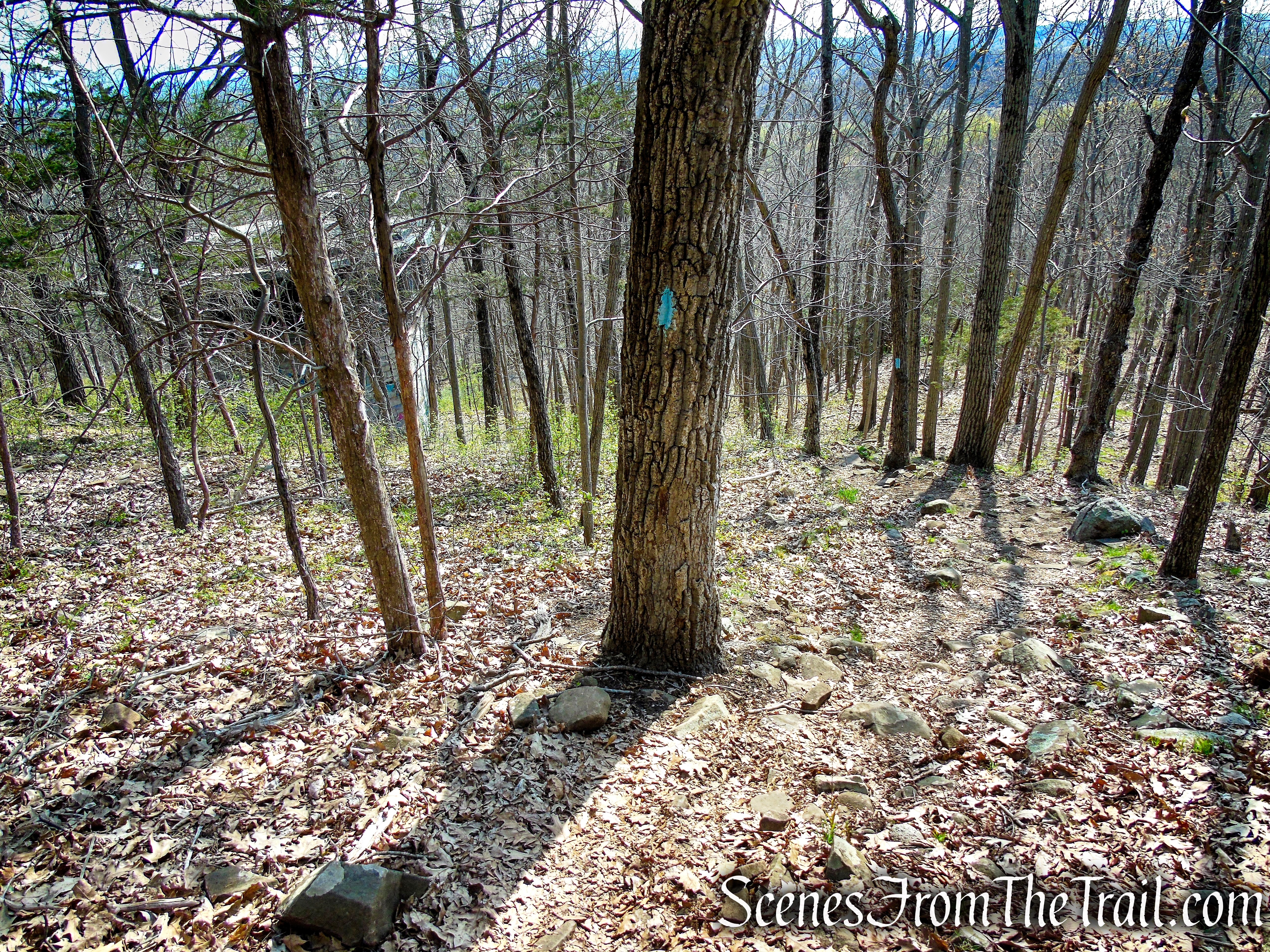 Regicides Trail - West Rock Ridge State Park