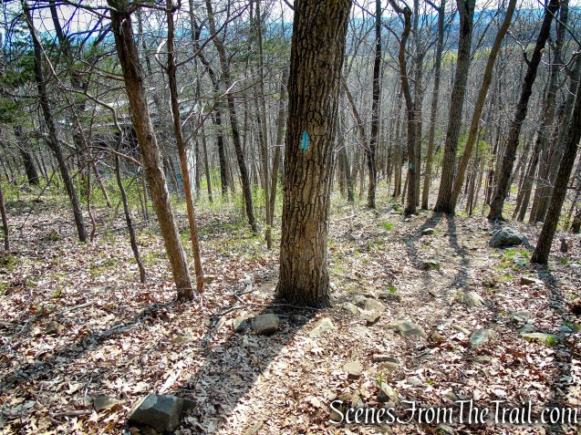 Regicides Trail - West Rock Ridge State Park
