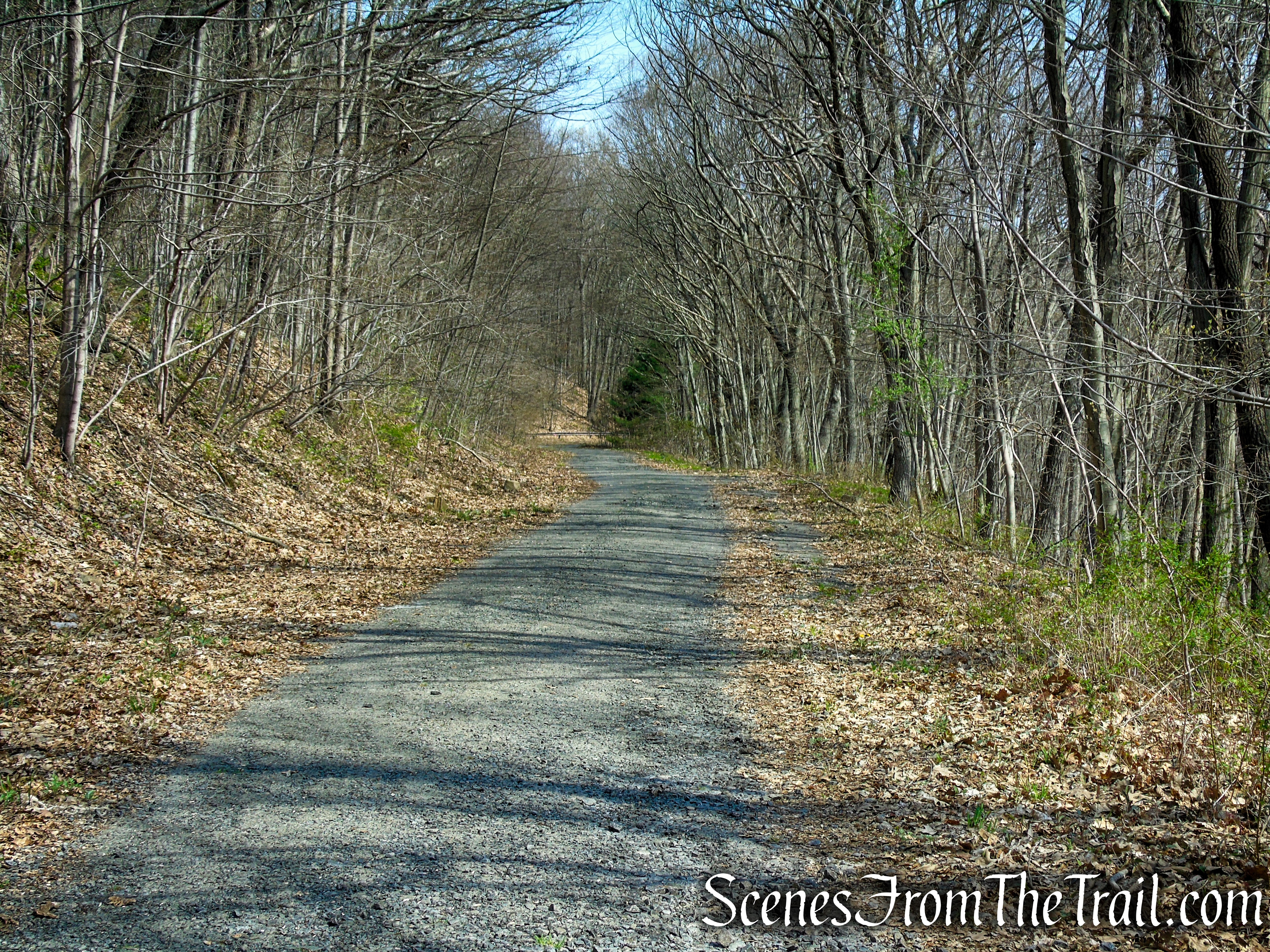 Baldwin Drive - West Rock Ridge State Park