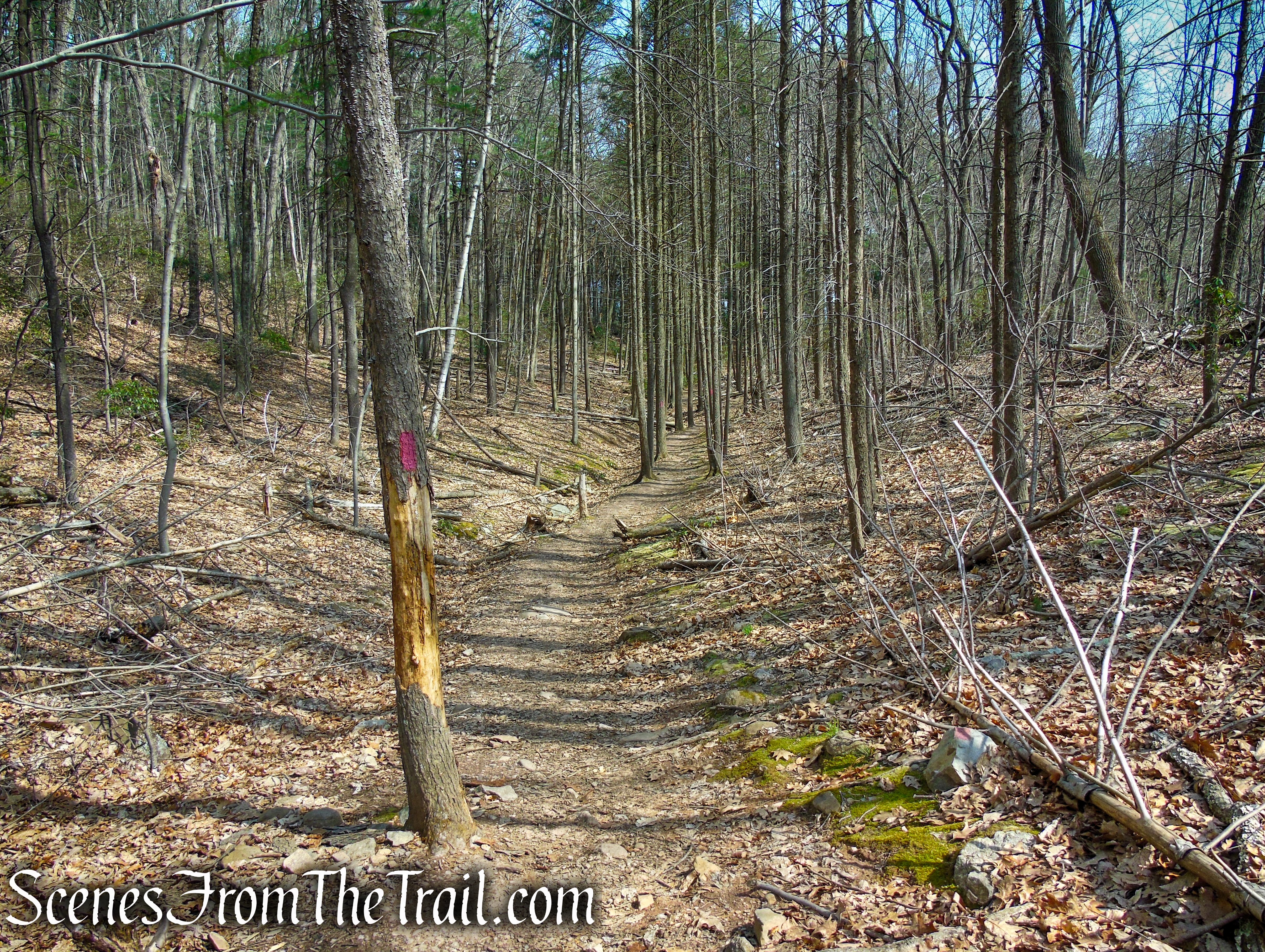 Red Trail - West Rock Ridge State Park