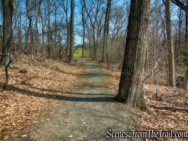 Red Trail - West Rock Ridge State Park