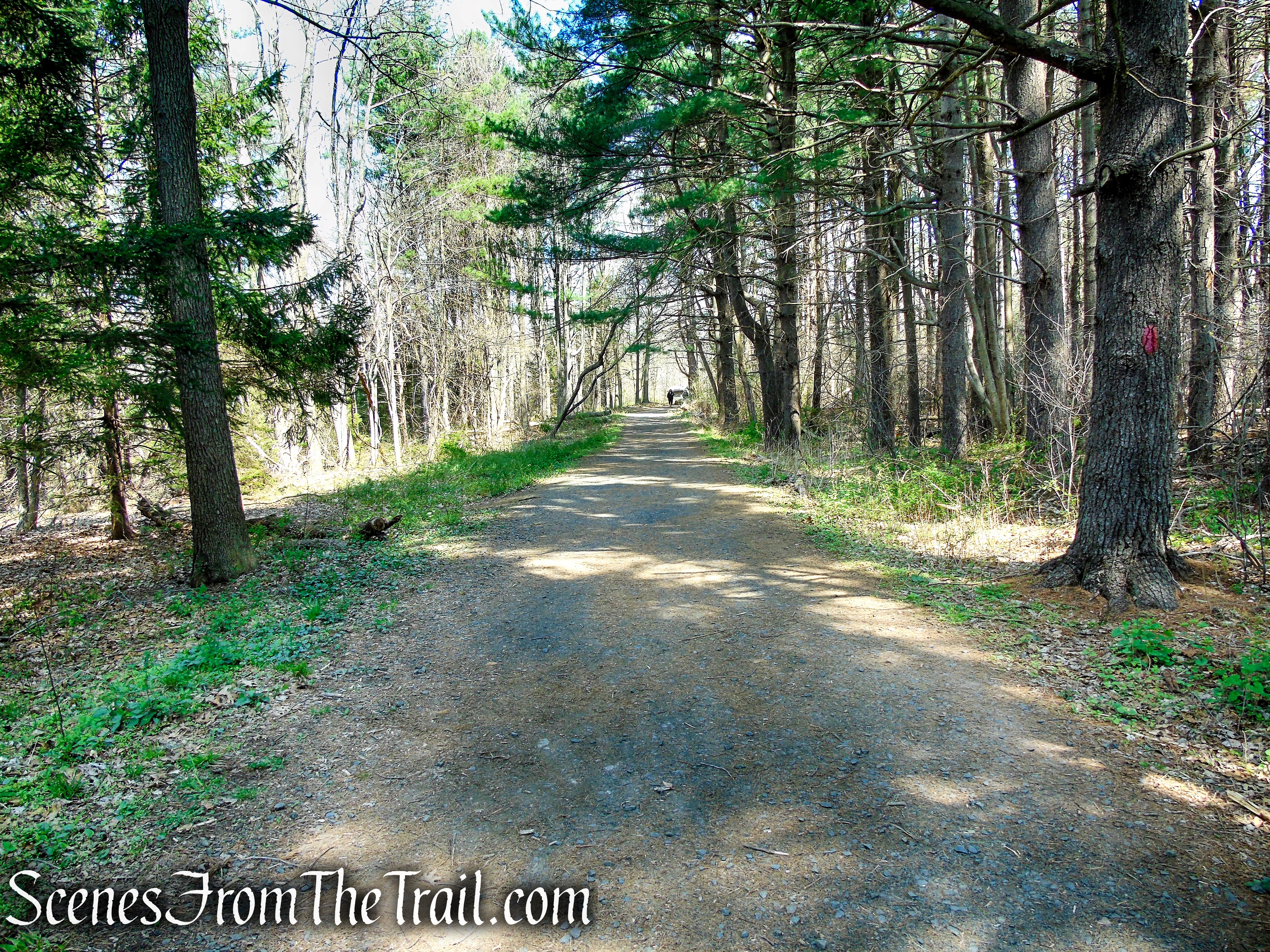 Red Trail - West Rock Ridge State Park