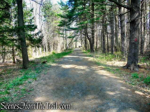 Red Trail - West Rock Ridge State Park
