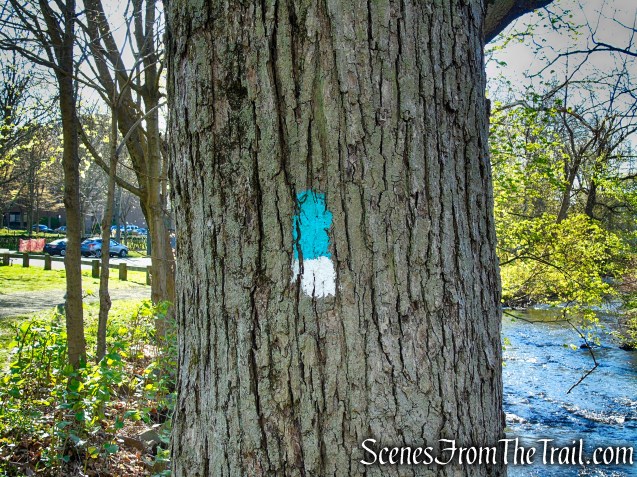 Teal/White Trail - Amrhyn Field