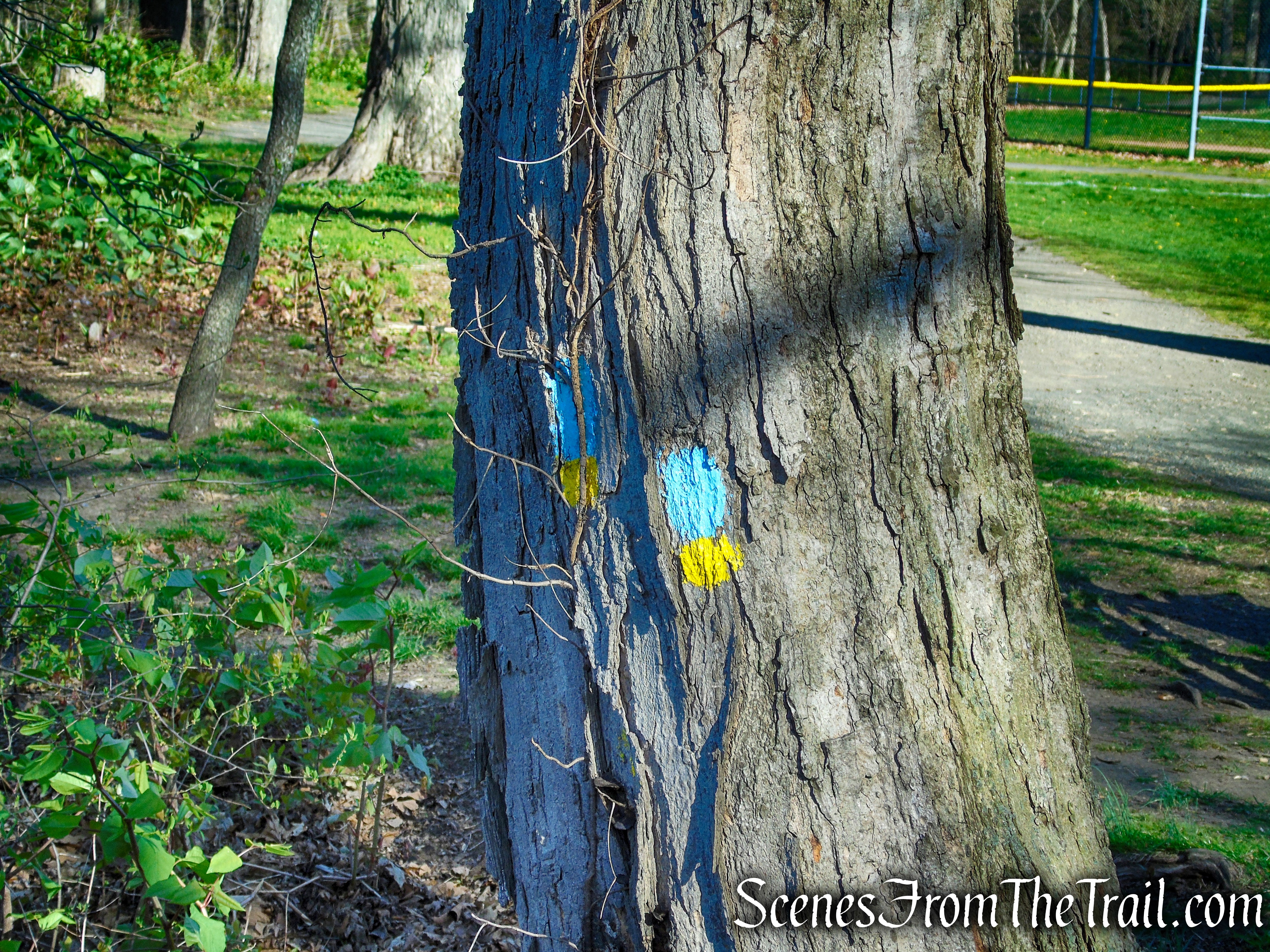 Westville Feeder Trail - Amrhyn Field