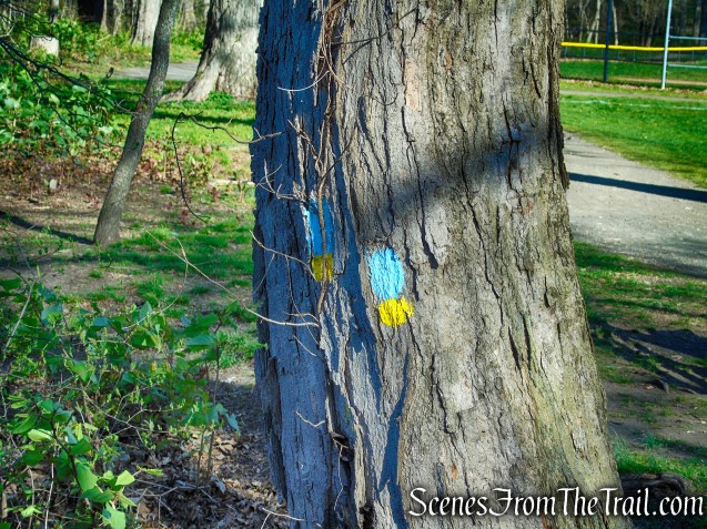 Westville Feeder Trail - Amrhyn Field