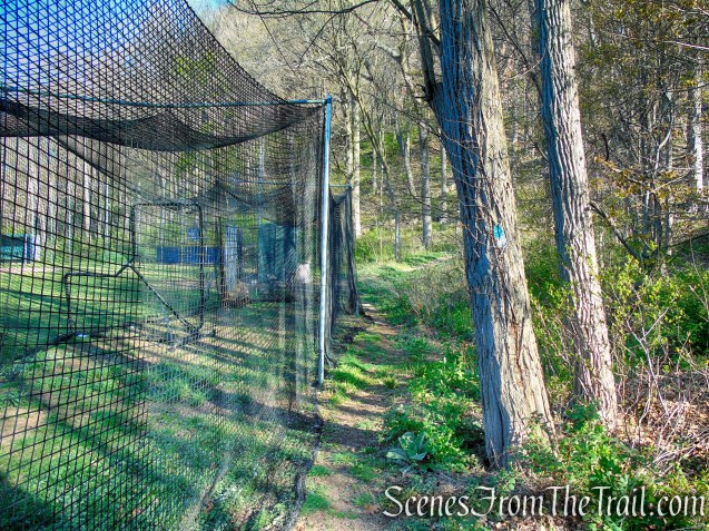 Teal/White Trail – Amrhyn Field