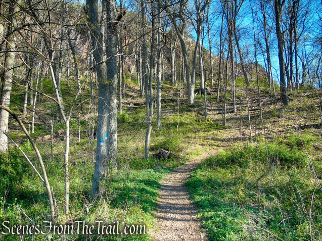 Teal/White Trail – Amrhyn Field