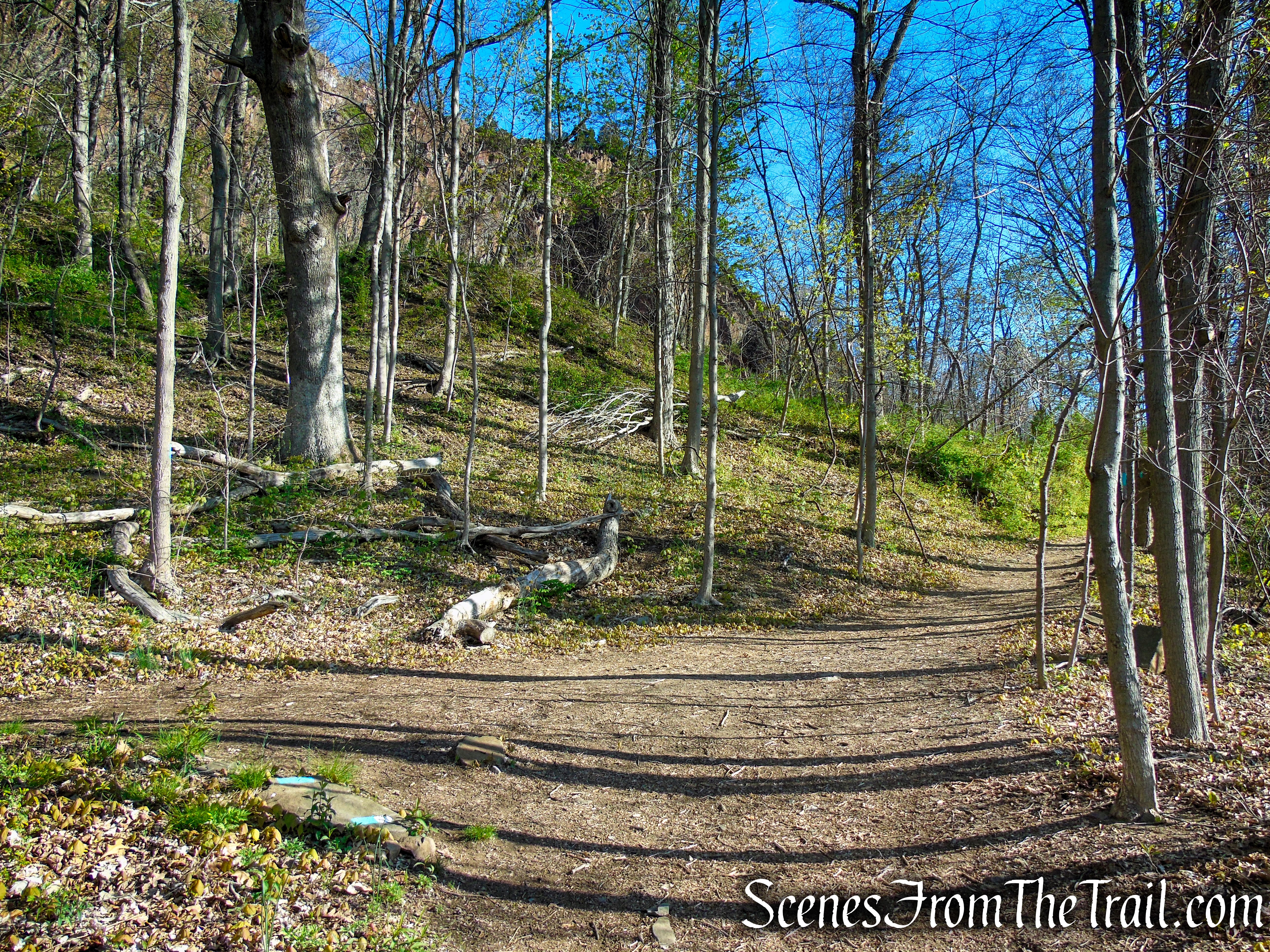 junction of Teal/White and Teal Trails