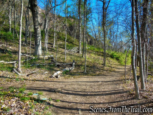 junction of Teal/White and Teal Trails
