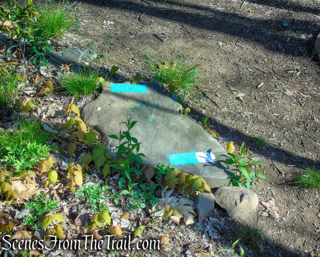 junction of Teal/White and Teal Trails