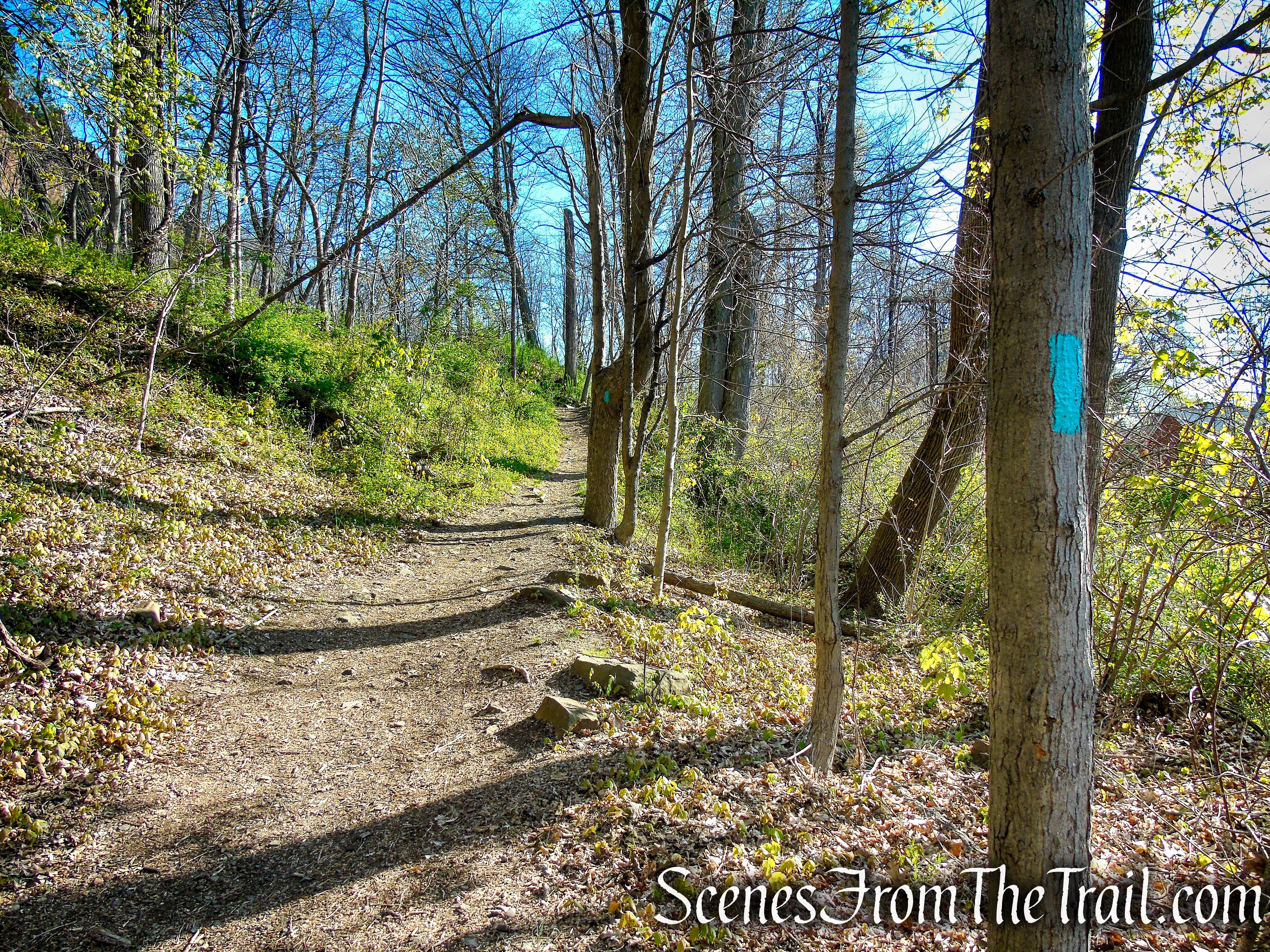 Teal Trail - West Rock Ridge State Park