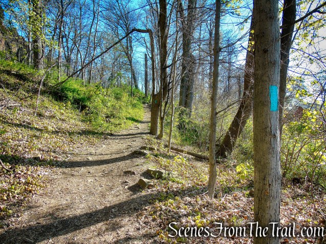 Teal Trail - West Rock Ridge State Park