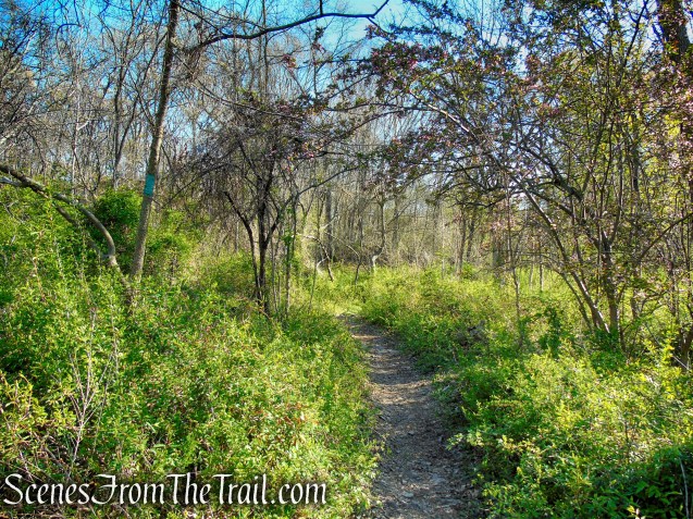 Teal Trail - West Rock Ridge State Park