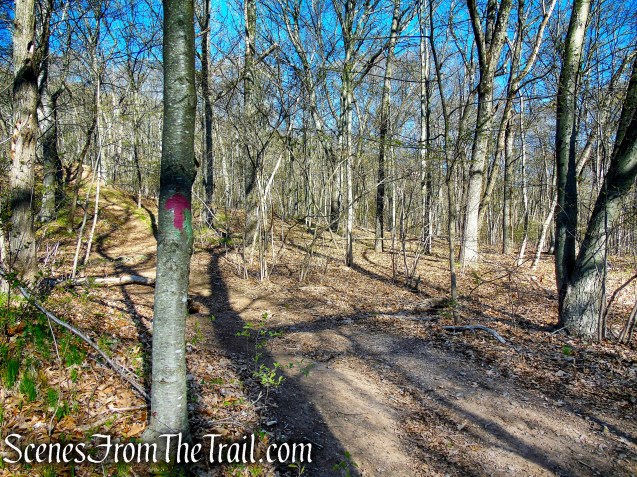 turn left on unmarked trail