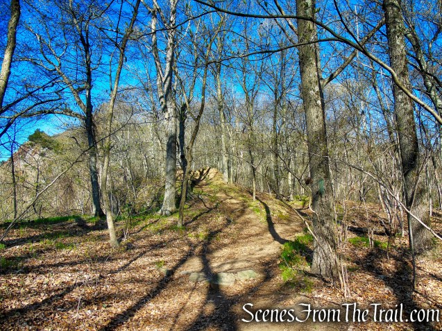 unmarked trail - West Rock Ridge State Park