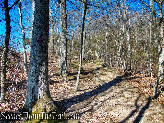 Red Trail - West Rock Ridge State Park