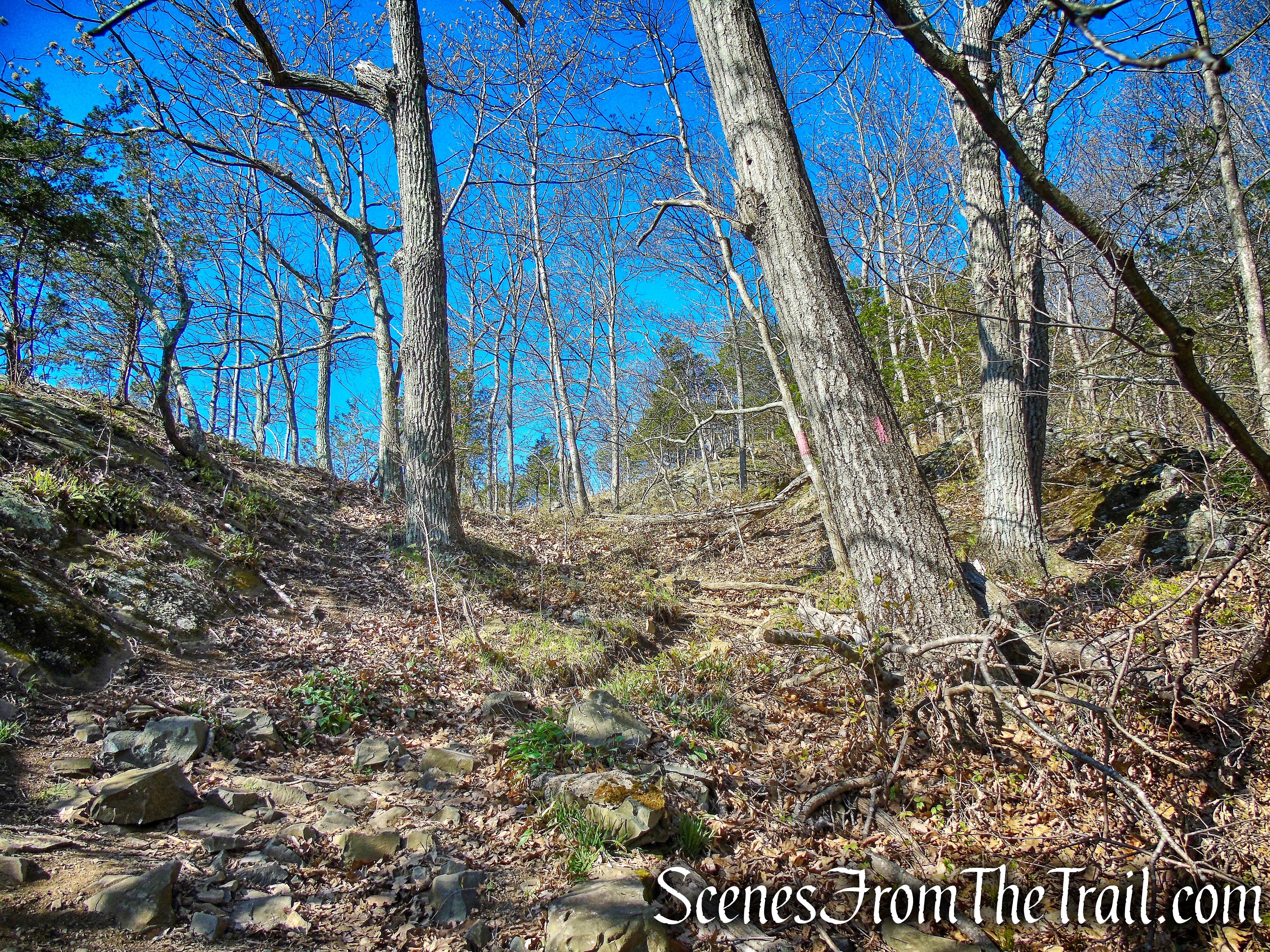 Red Trail - West Rock Ridge State Park