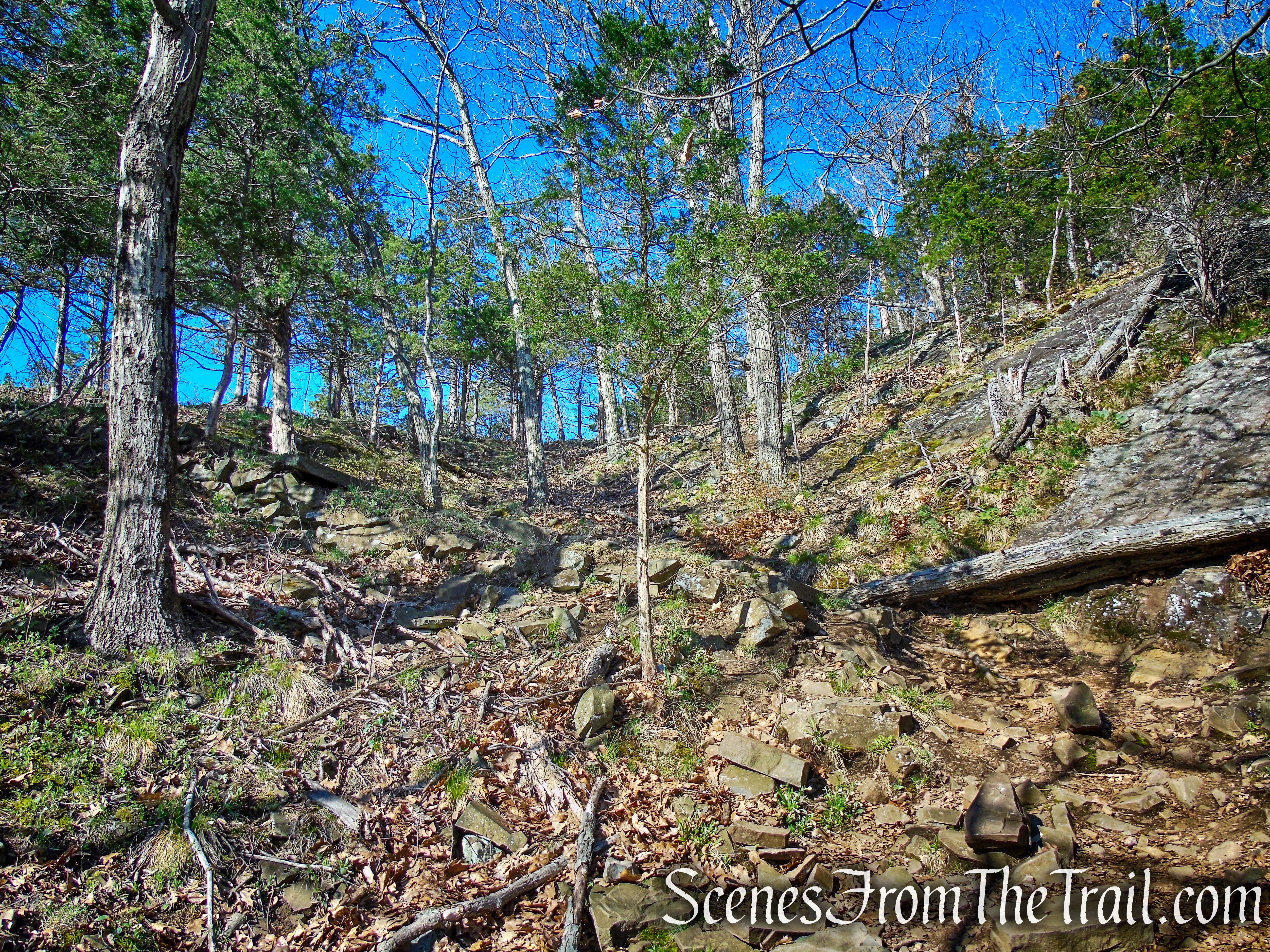 Red Trail - West Rock Ridge State Park