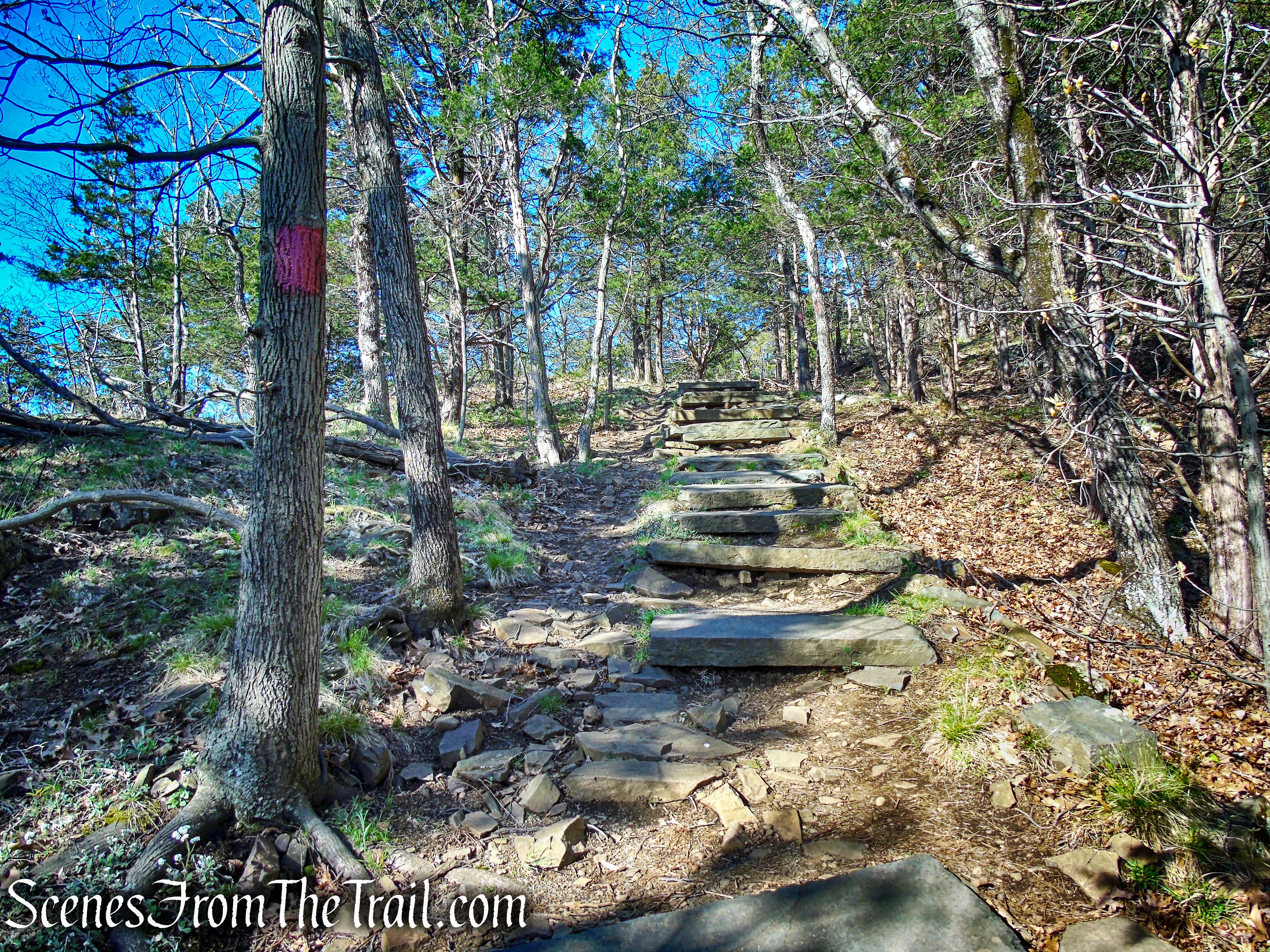 Red Trail - West Rock Ridge State Park