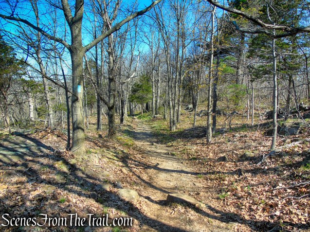 Regicides Trail - West Rock Ridge State Park
