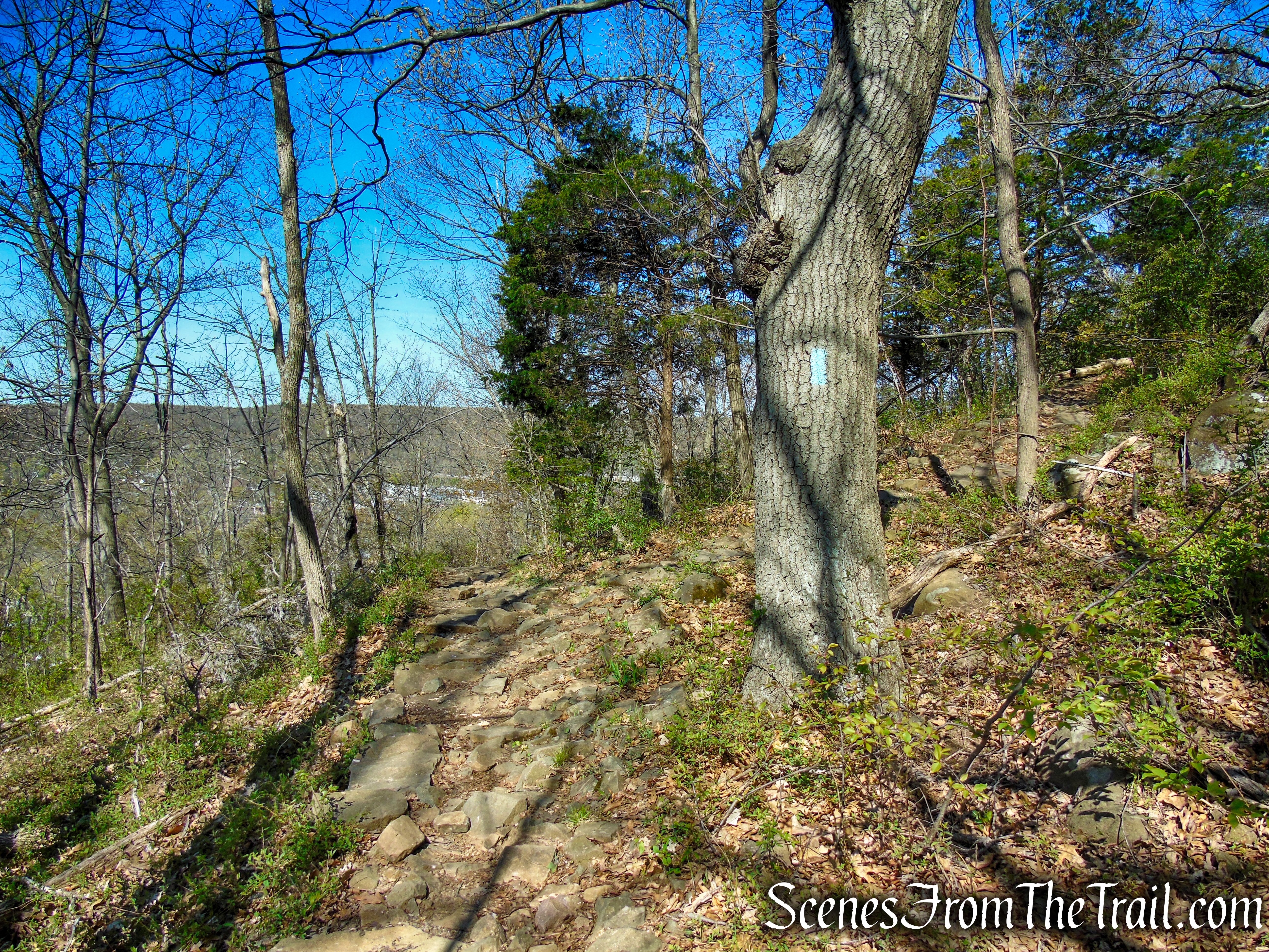 Regicides Trail - West Rock Ridge State Park