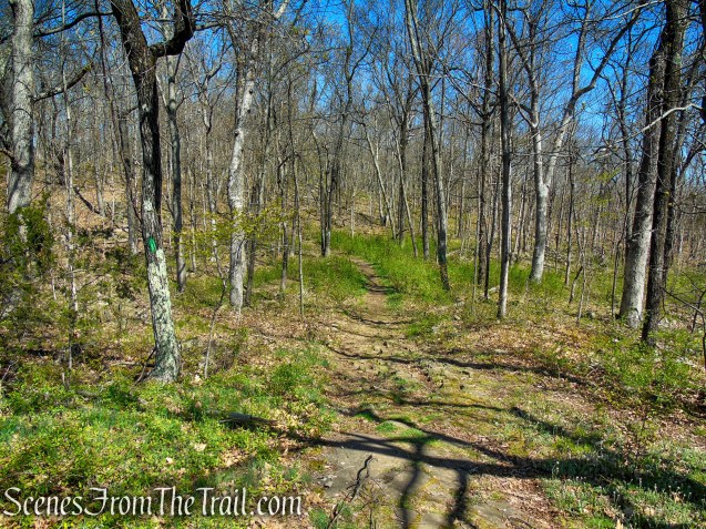 Green Trail - West Rock Ridge State Park