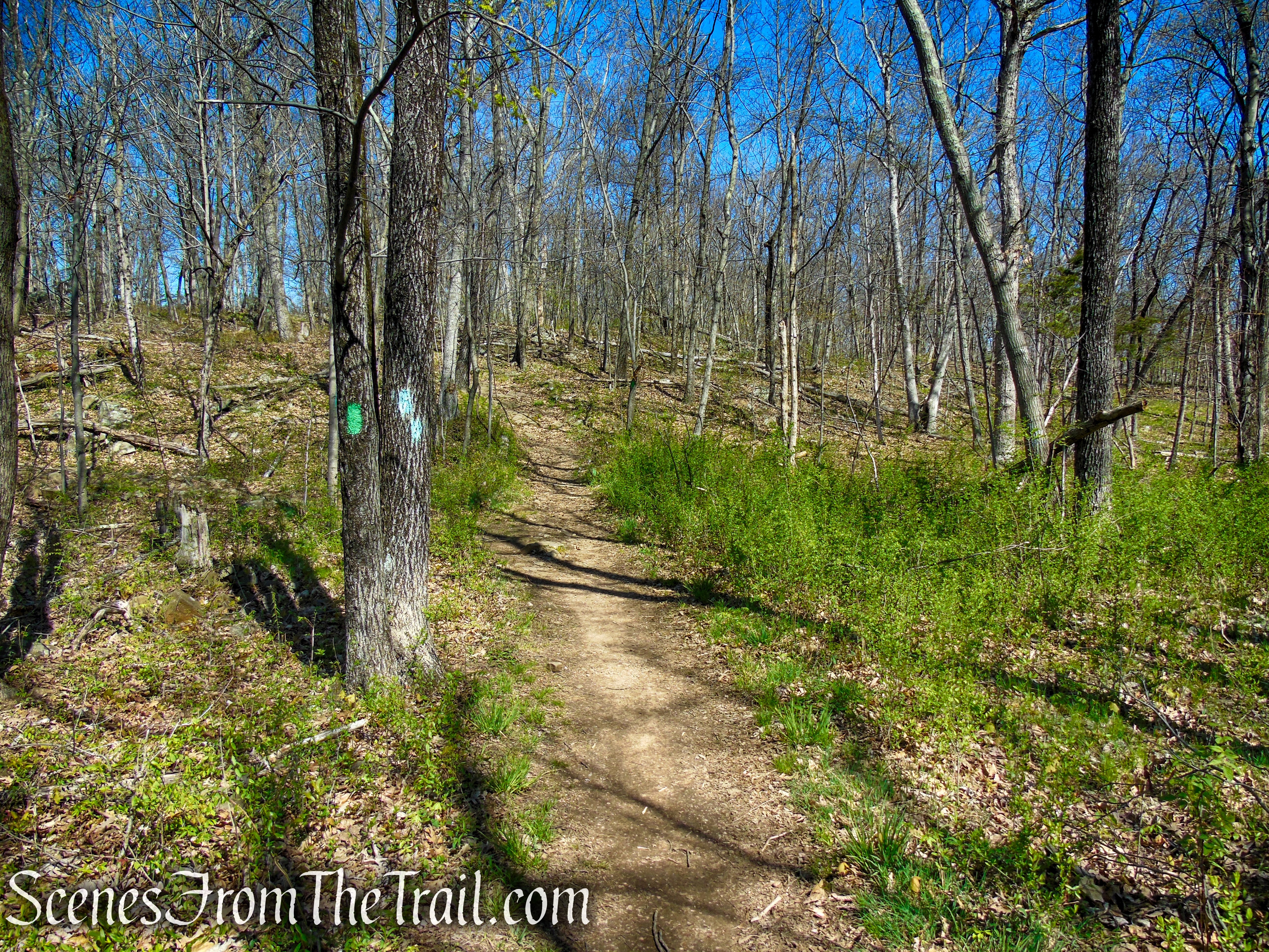 Green Trail - West Rock Ridge State Park