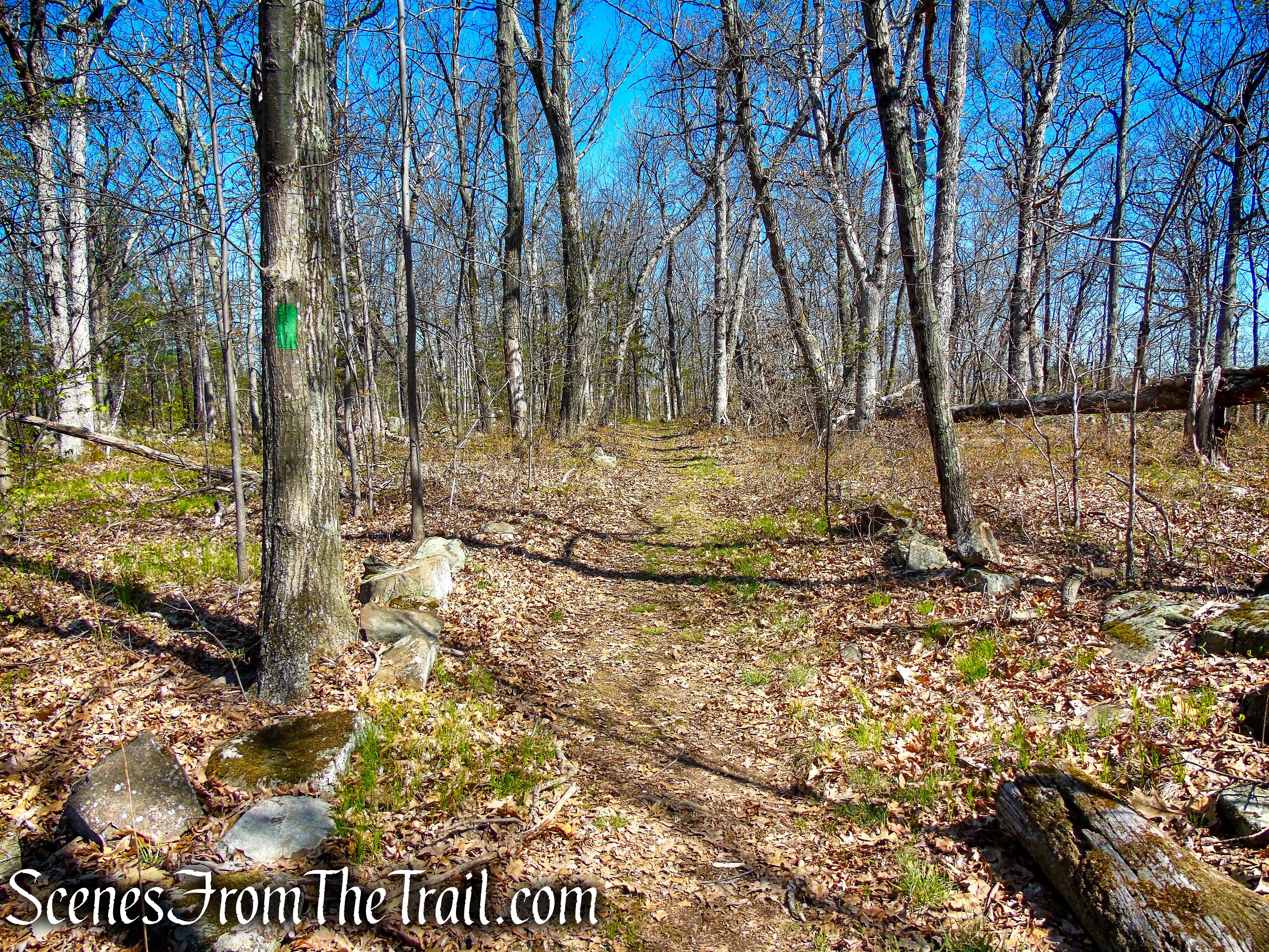 Green Trail - West Rock Ridge State Park