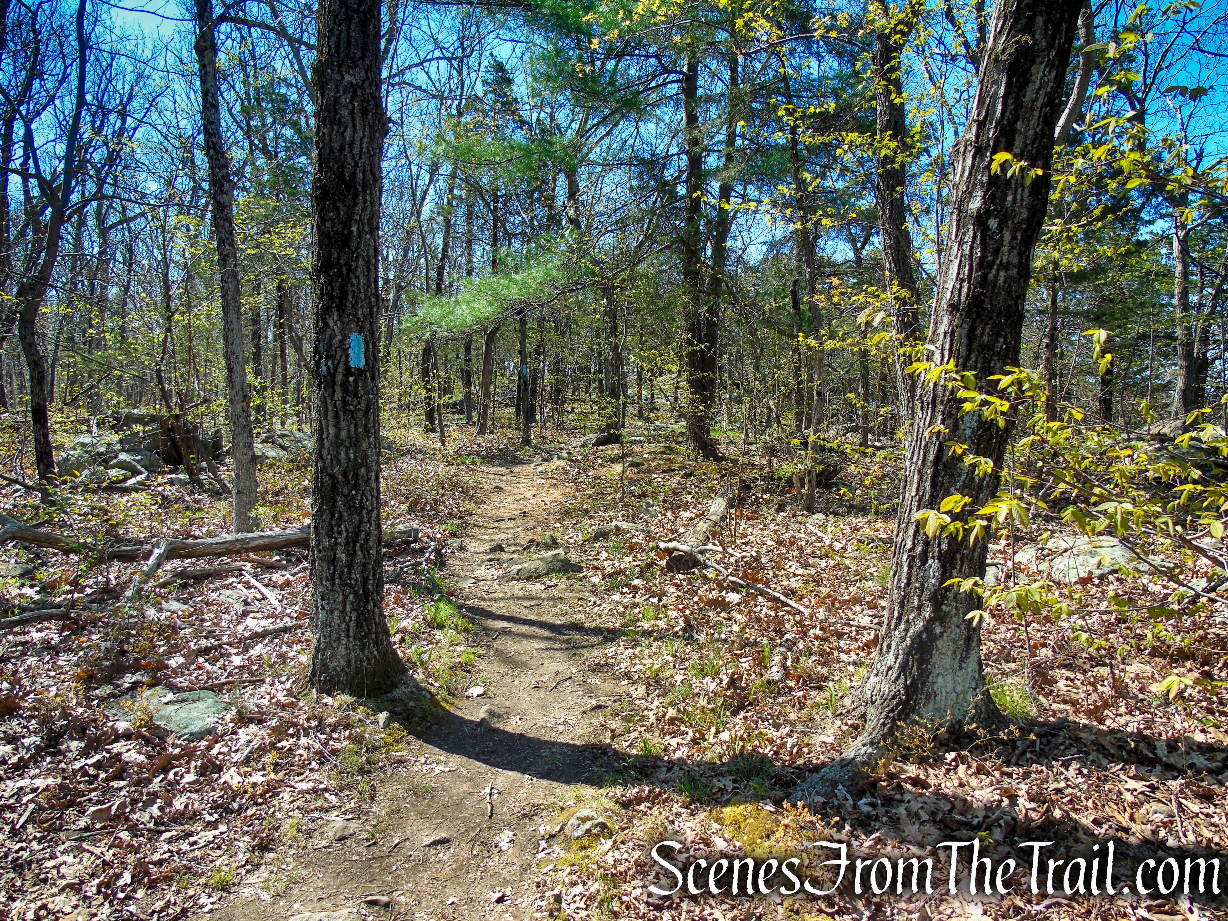 Regicides Trail - West Rock Ridge State Park