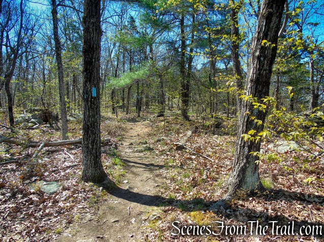 Regicides Trail - West Rock Ridge State Park