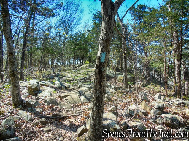 Regicides Trail - West Rock Ridge State Park
