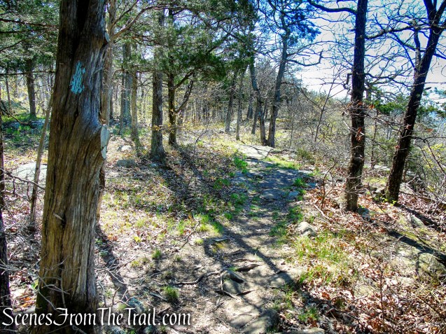 Regicides Trail - West Rock Ridge State Park