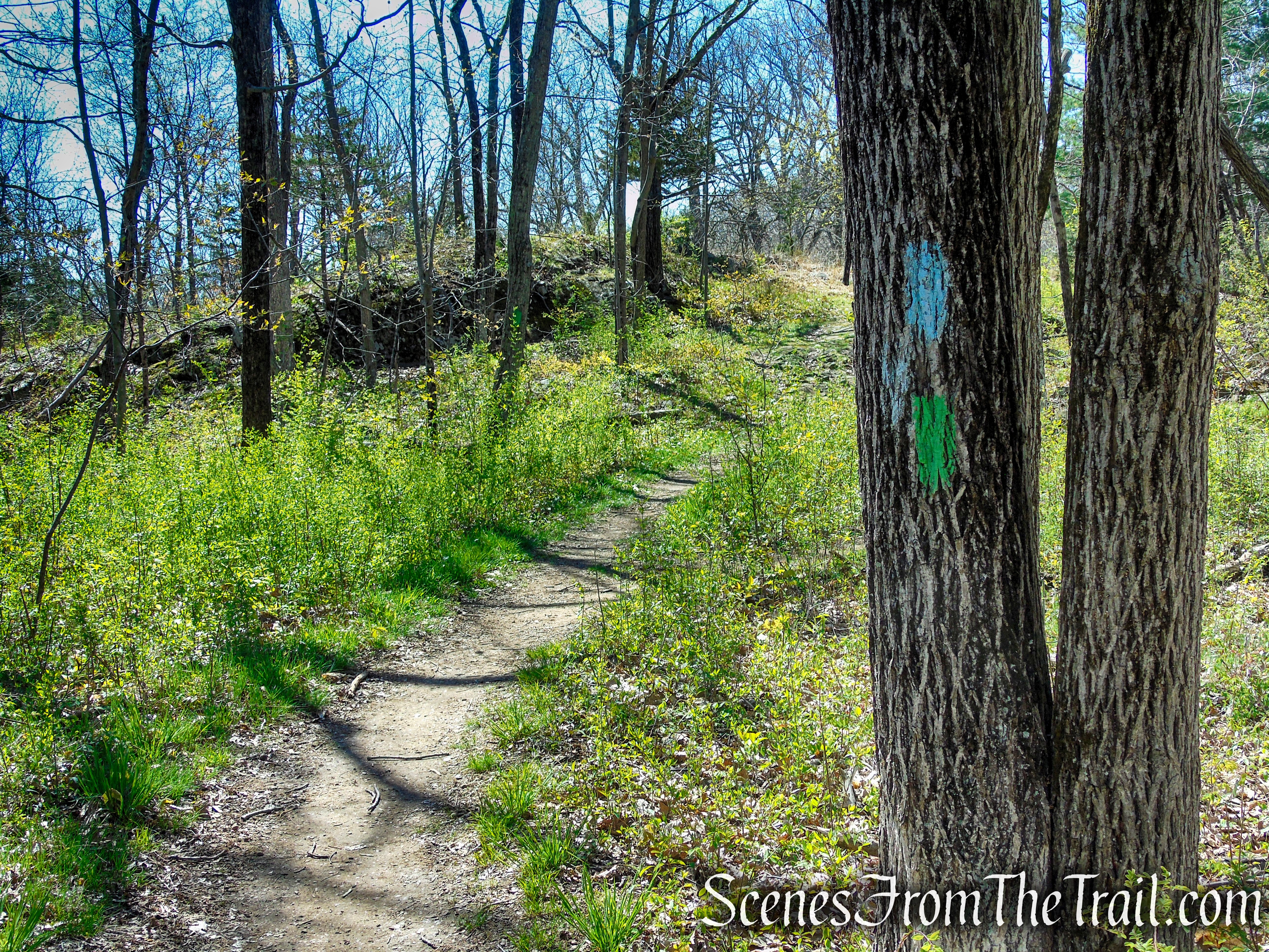 Regicides Trail - West Rock Ridge State Park