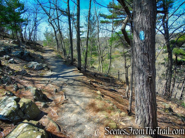 Regicides Trail - West Rock Ridge State Park