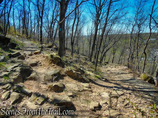 bear right on Westville Feeder Trail