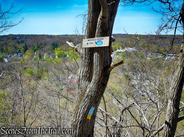 Westville Feeder Trail - West Rock Ridge State Park