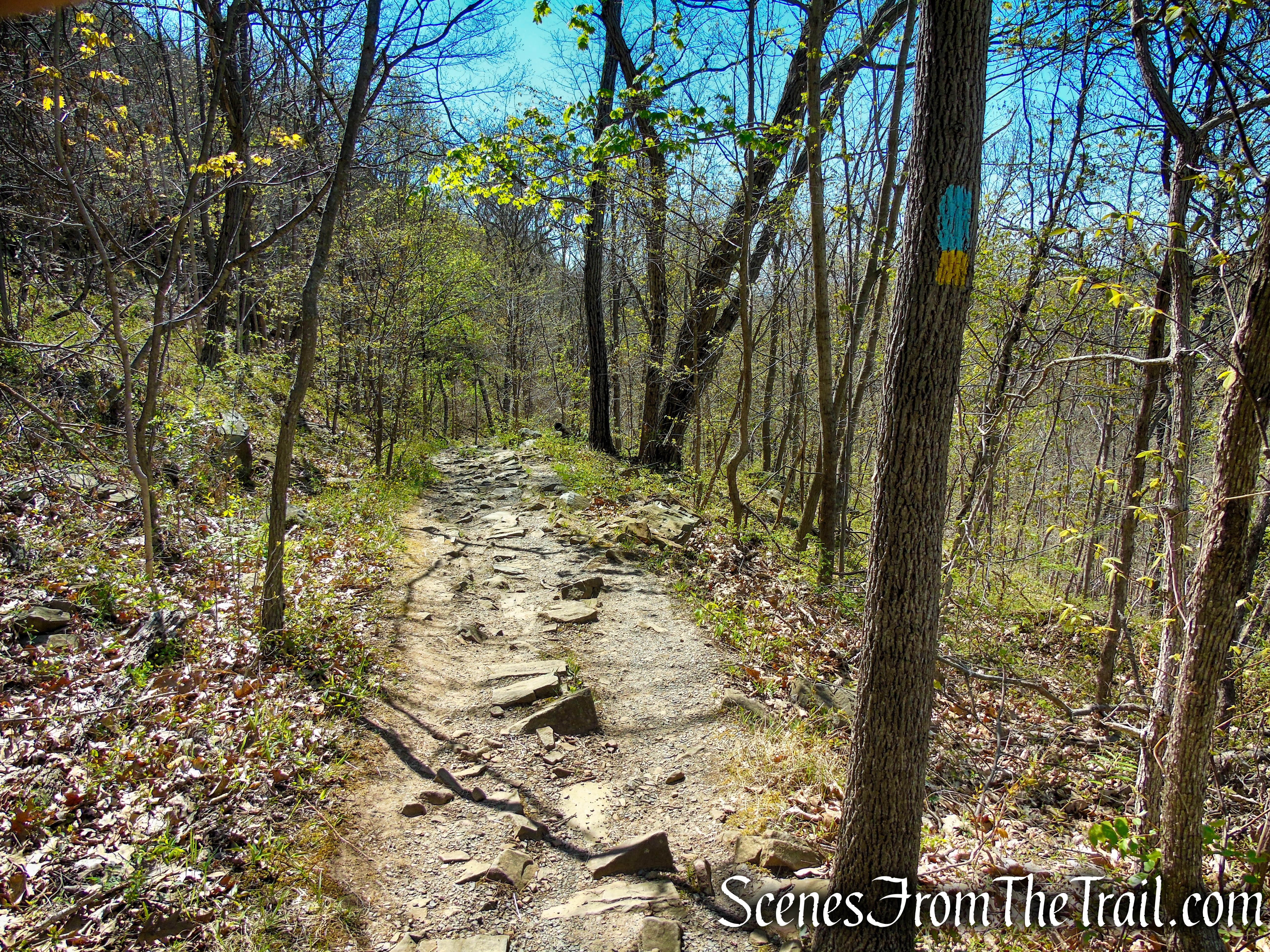 Westville Feeder Trail - West Rock Ridge State Park