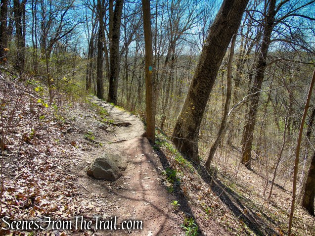 Westville Feeder Trail - West Rock Ridge State Park