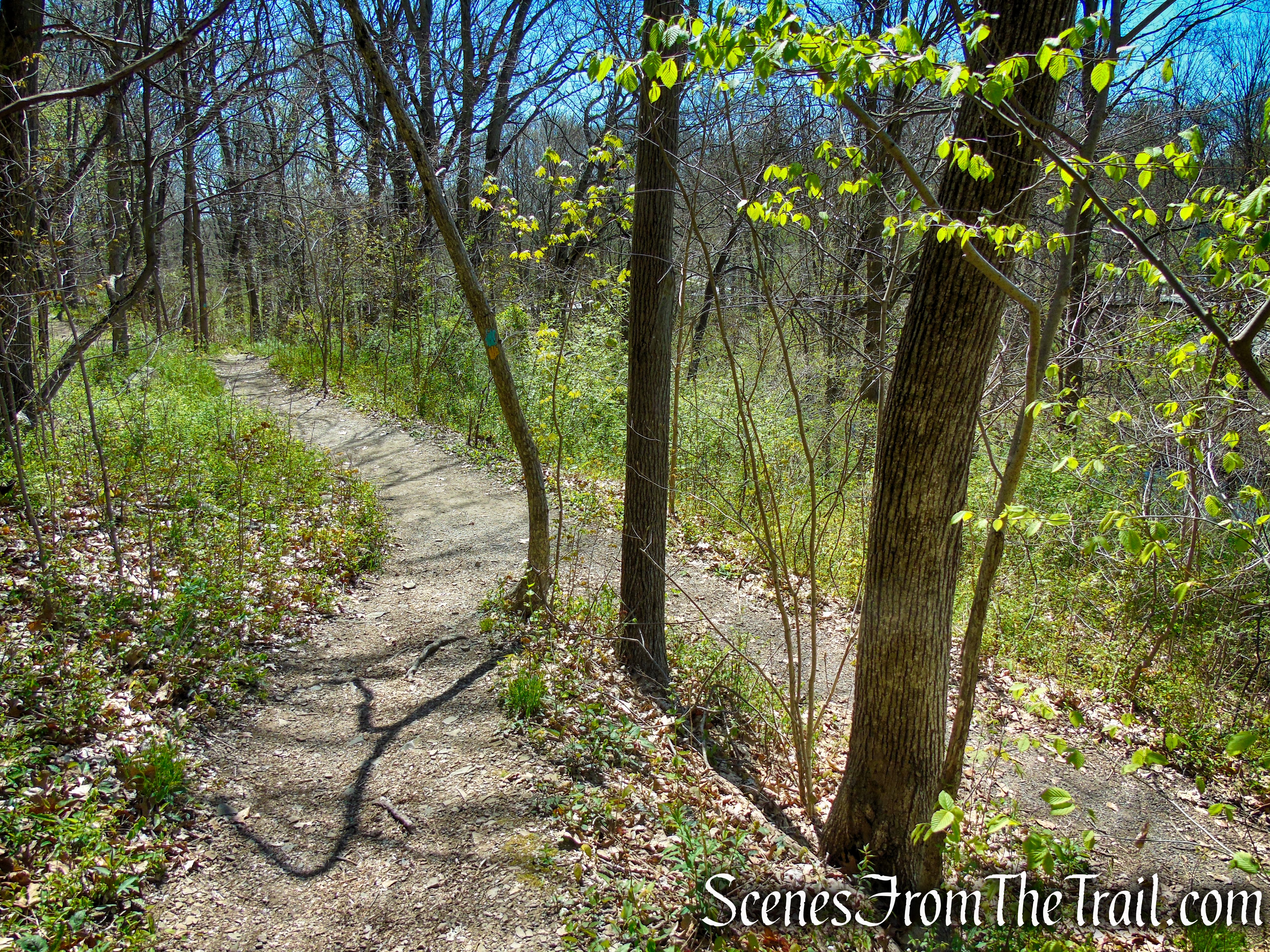 Westville Feeder Trail - West Rock Ridge State Park