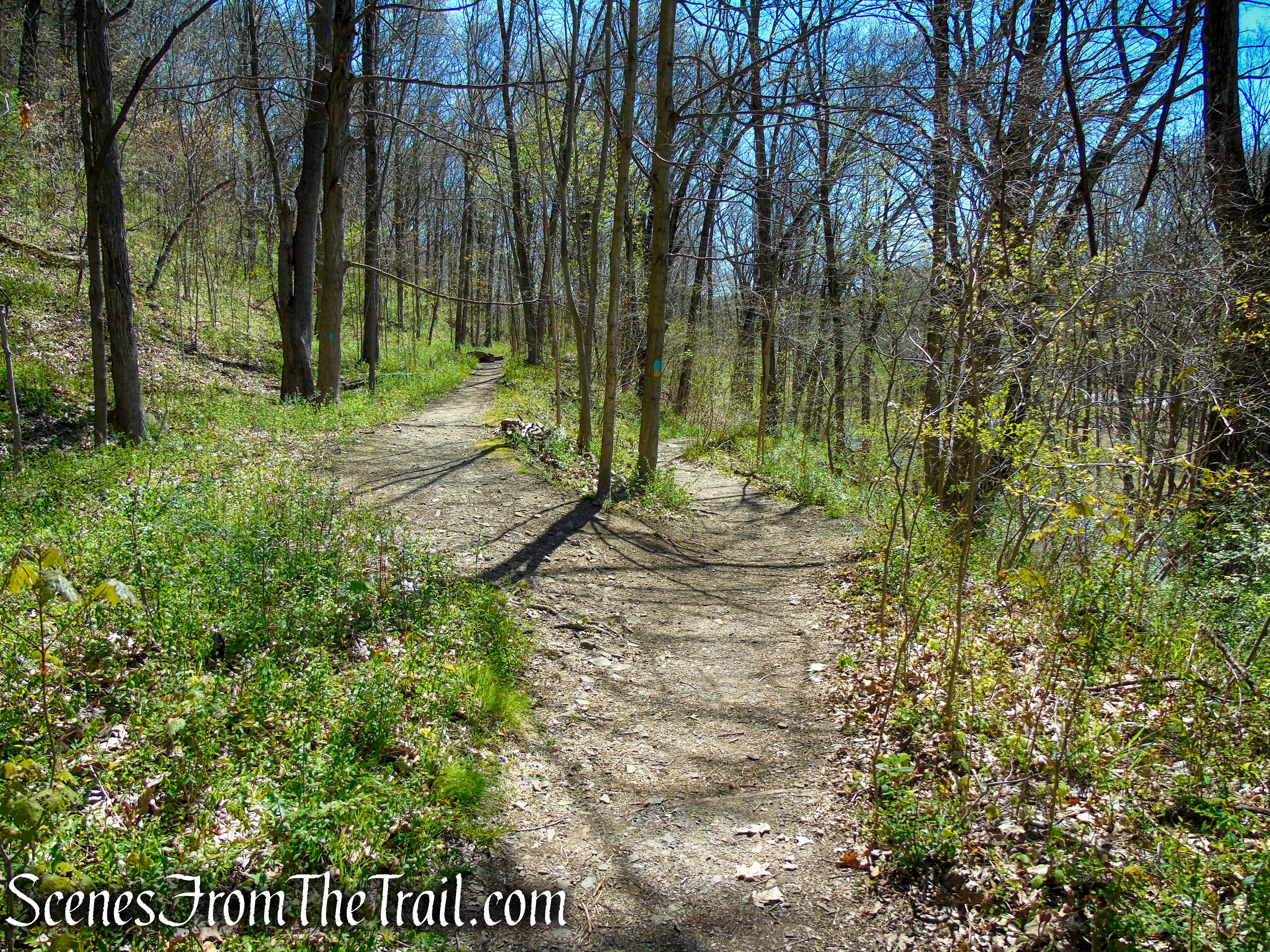 Westville Feeder Trail - West Rock Ridge State Park