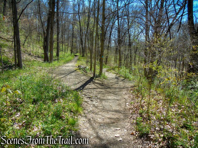 Westville Feeder Trail - West Rock Ridge State Park
