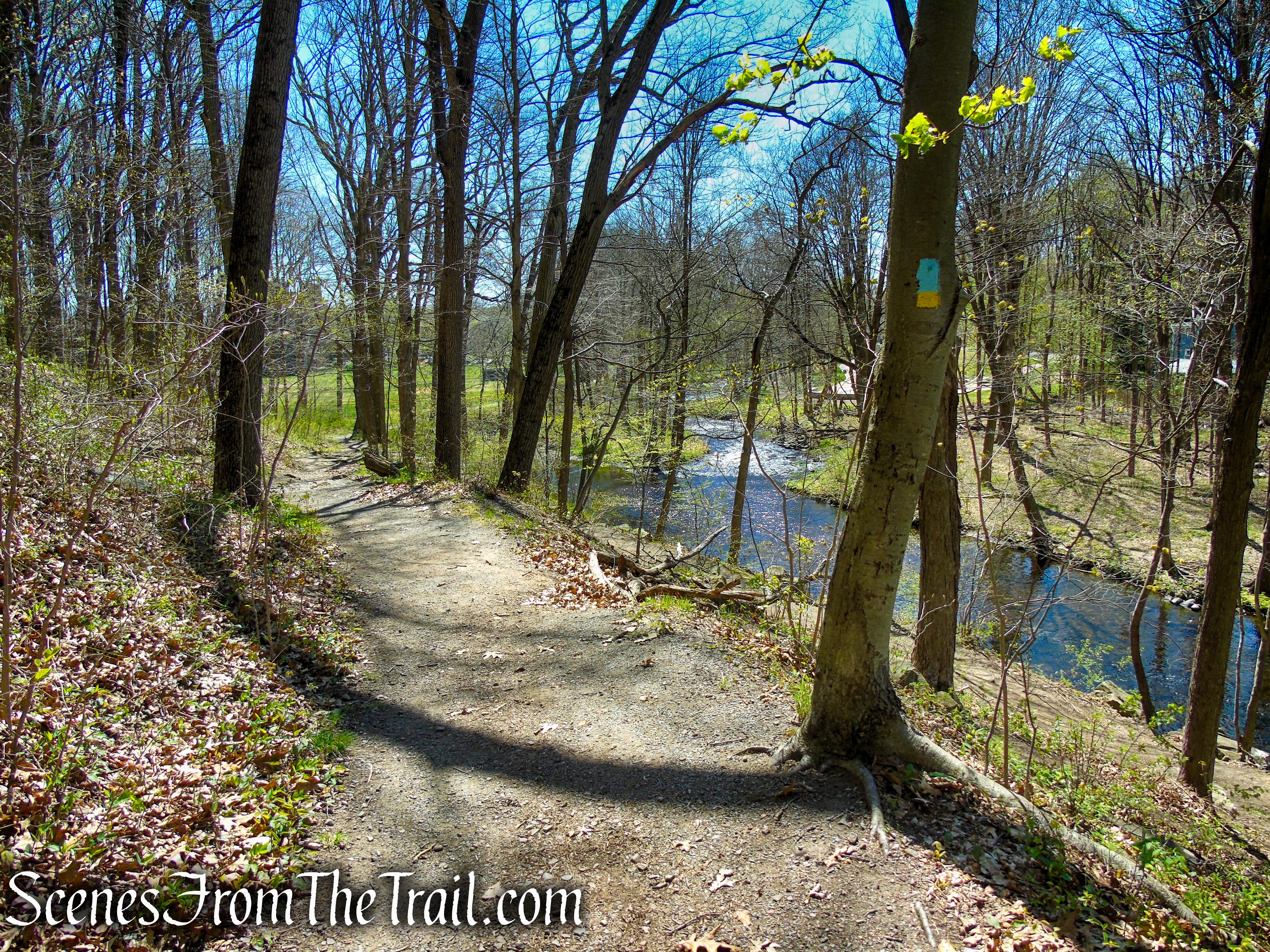 Westville Feeder Trail - West Rock Ridge State Park
