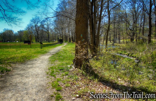Westville Feeder Trail - West Rock Ridge State Park
