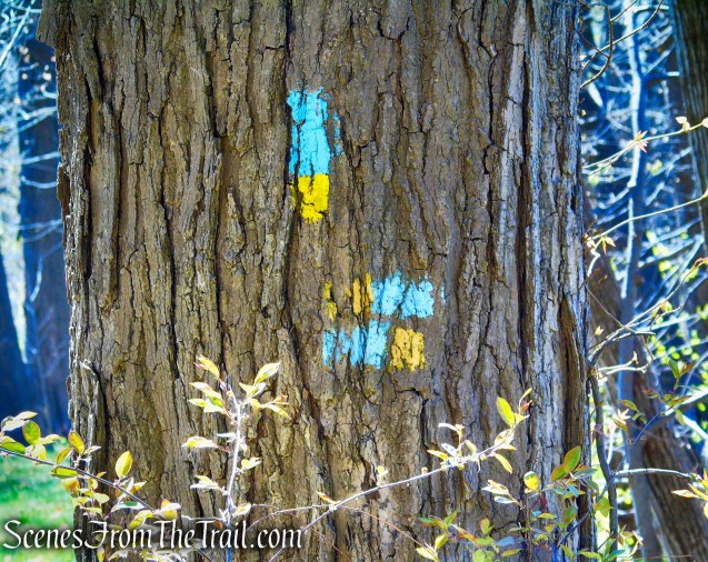 Westville Feeder Trail